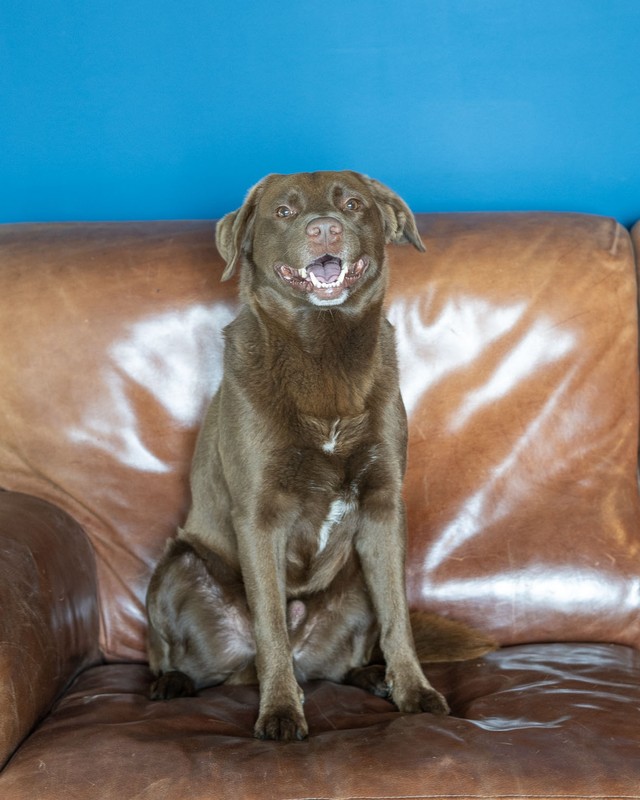 Mick - HR-manager